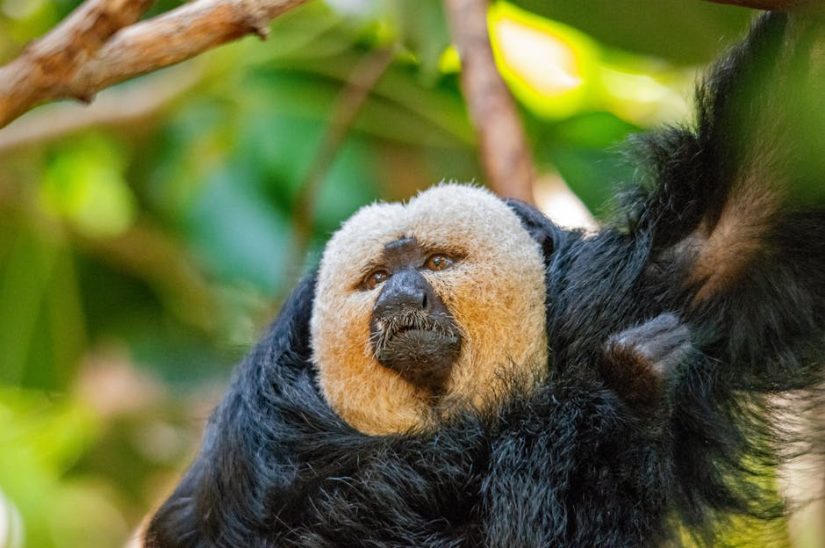 皮秒激光幾耐做一次？完整步驟式指南告訴你